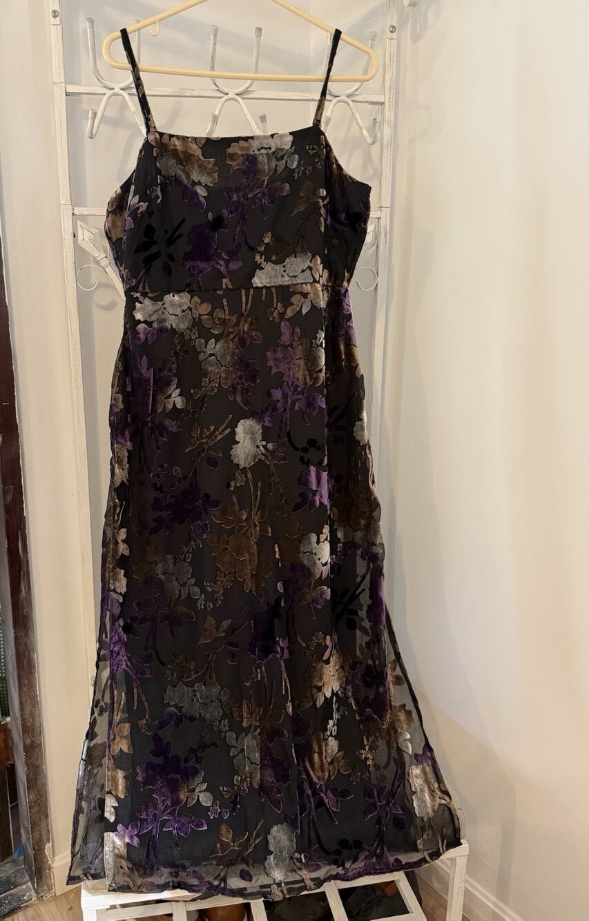 Taylor Velvet Burnout Floral Empire Waist Floral Maxi Dress Size 12 Whimsigoth